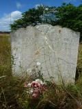 image of grave number 113001